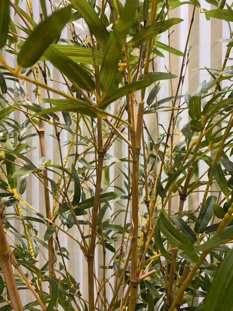 Photograph of Artificial Plants & Trees & Bonsai & Flowers -  up-close-shot (03)